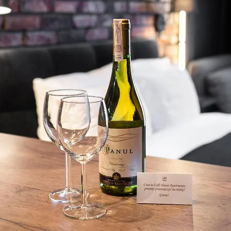 Loft House Premium Apartment Wroclaw