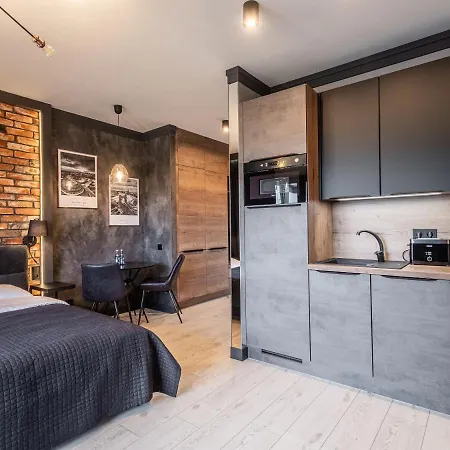 Loft House Premium 公寓