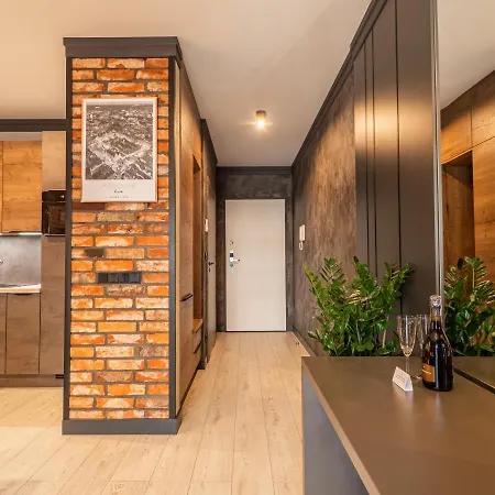 Loft House Premium * 弗罗茨瓦夫